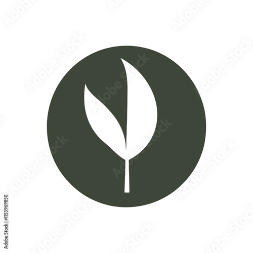 Leaf logo vector illustration