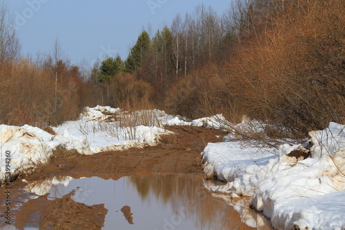 a muddy road in the forest in early spring on a sunny day photo