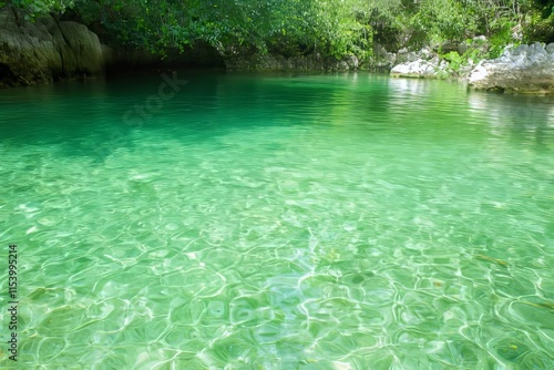 Emerald Green Water Pool in a Lush Forest, a Serene Oasis of Nature's Beauty