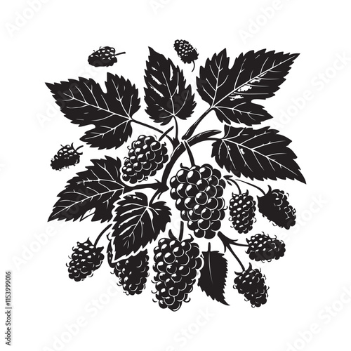 Mulberry Silhouette Vector Illustration, Solid White Background.