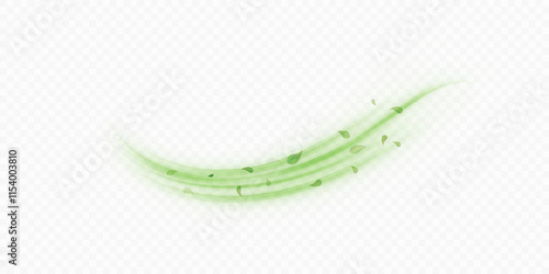 Green air flow effect with flying mint, tea leaves. Bright green swirl isolated on white background PNG, vector abstract illustration for advertising, drinks, food and cosmetics.