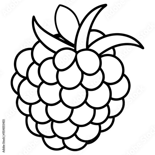 Blackberry line art art vector