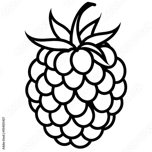 Blackberry line art art vector