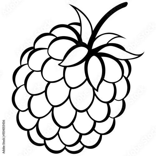 Blackberry line art art vector