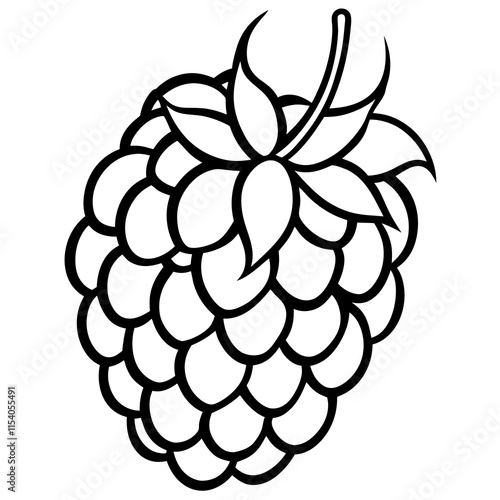 Blackberry line art art vector