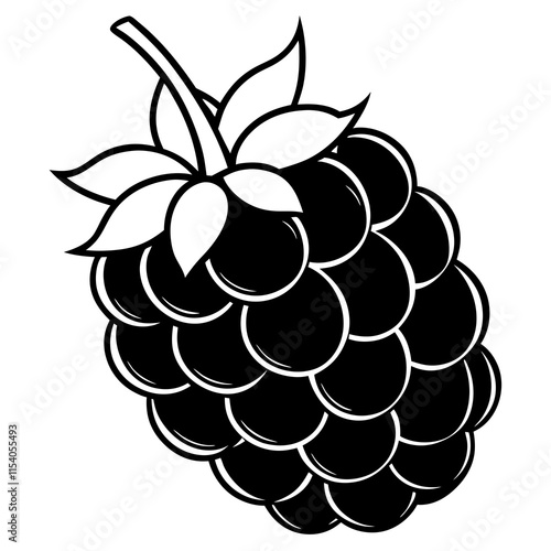 Blackberry line art art vector