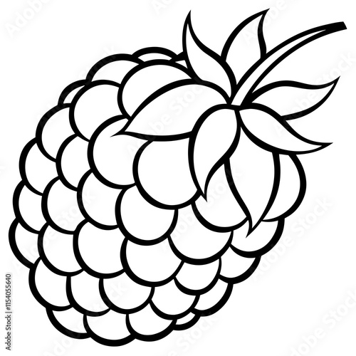 Blackberry line art art vector