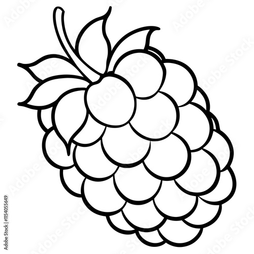 Blackberry line art art vector