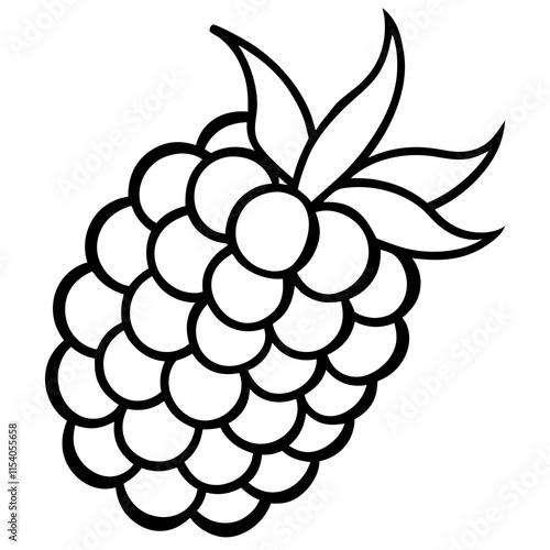 Blackberry line art art vector