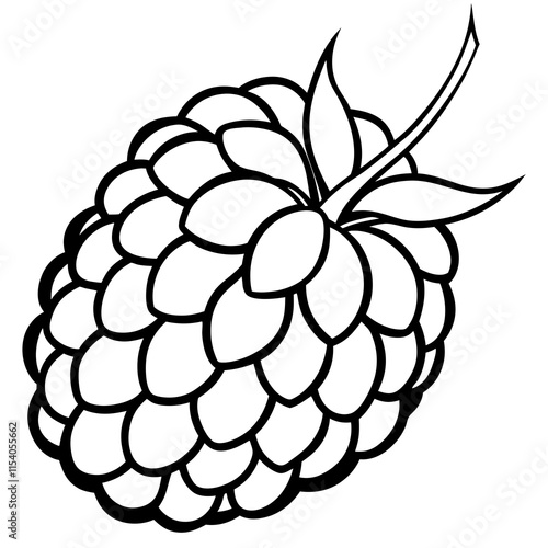 Blackberry line art art vector