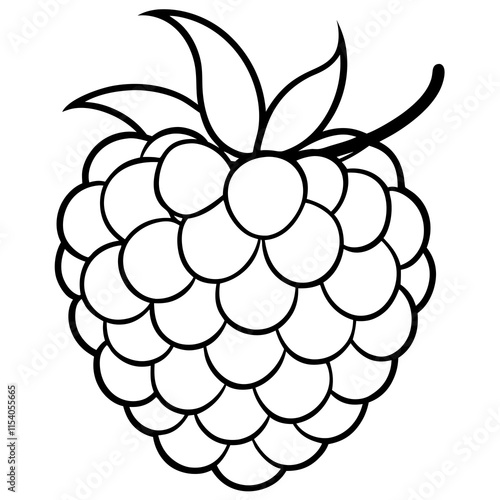 Blackberry line art art vector