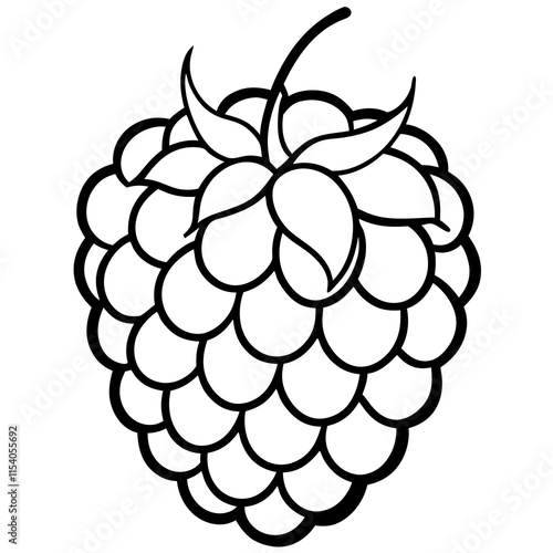 Blackberry line art art vector