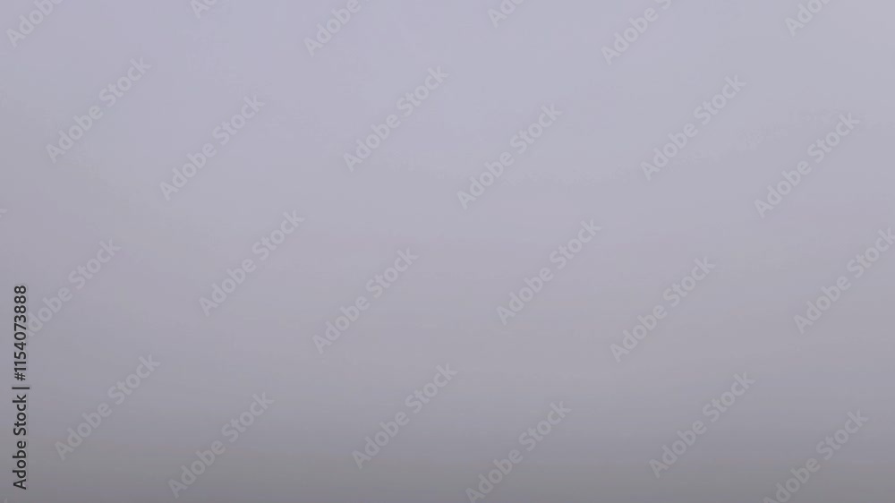 White-gray sky with fog White-gray sky with fog
