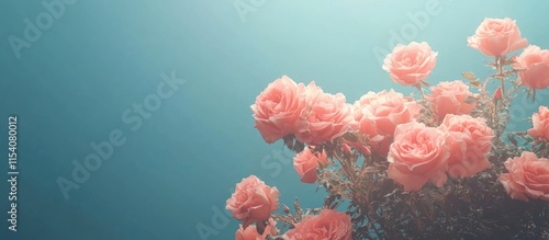 Wallpaper Mural Elegant pink roses set against a serene blue background perfect for enhancing floral designs and romantic themes in your projects. Torontodigital.ca