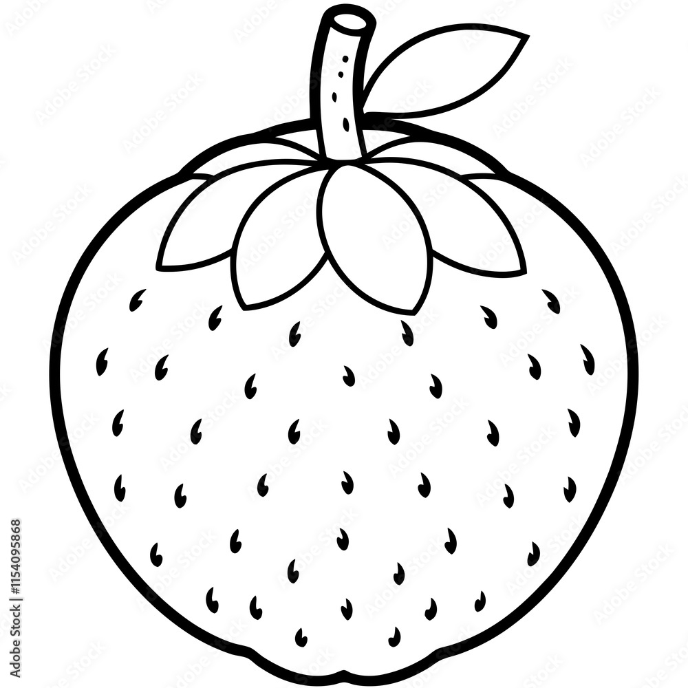Lychee line art vector Lychee line art vector