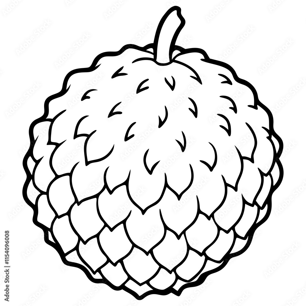 Lychee line art vector Lychee line art vector