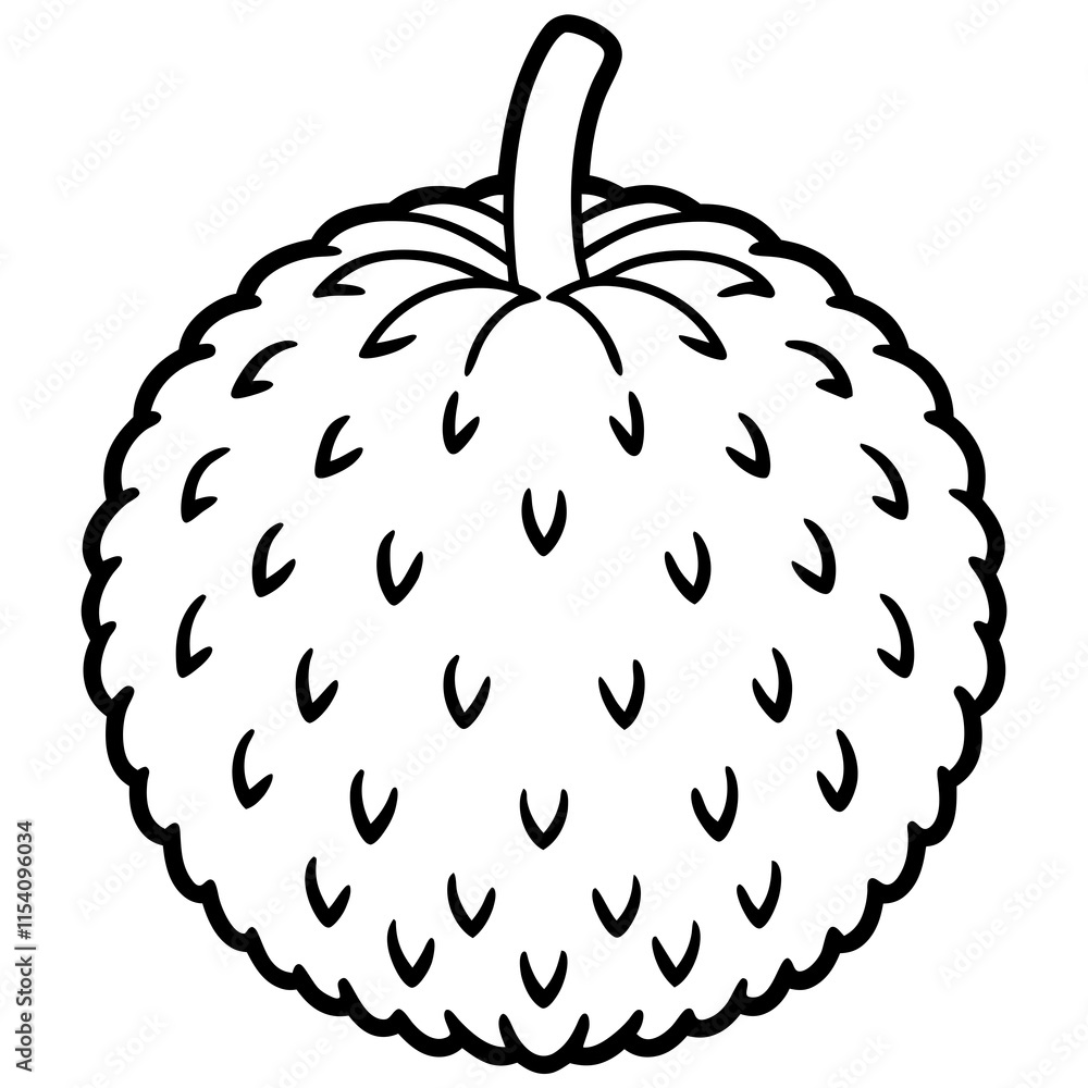 Lychee line art vector Lychee line art vector