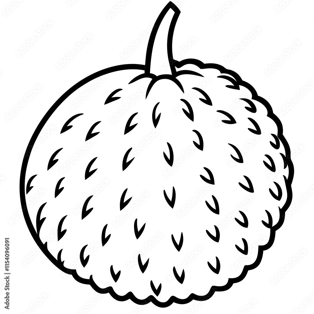 Lychee line art vector Lychee line art vector