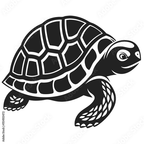 turtle illustration