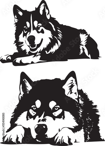 Alaskan Malamute Dogs Lying Down Stylized Vector Illustration Graphic