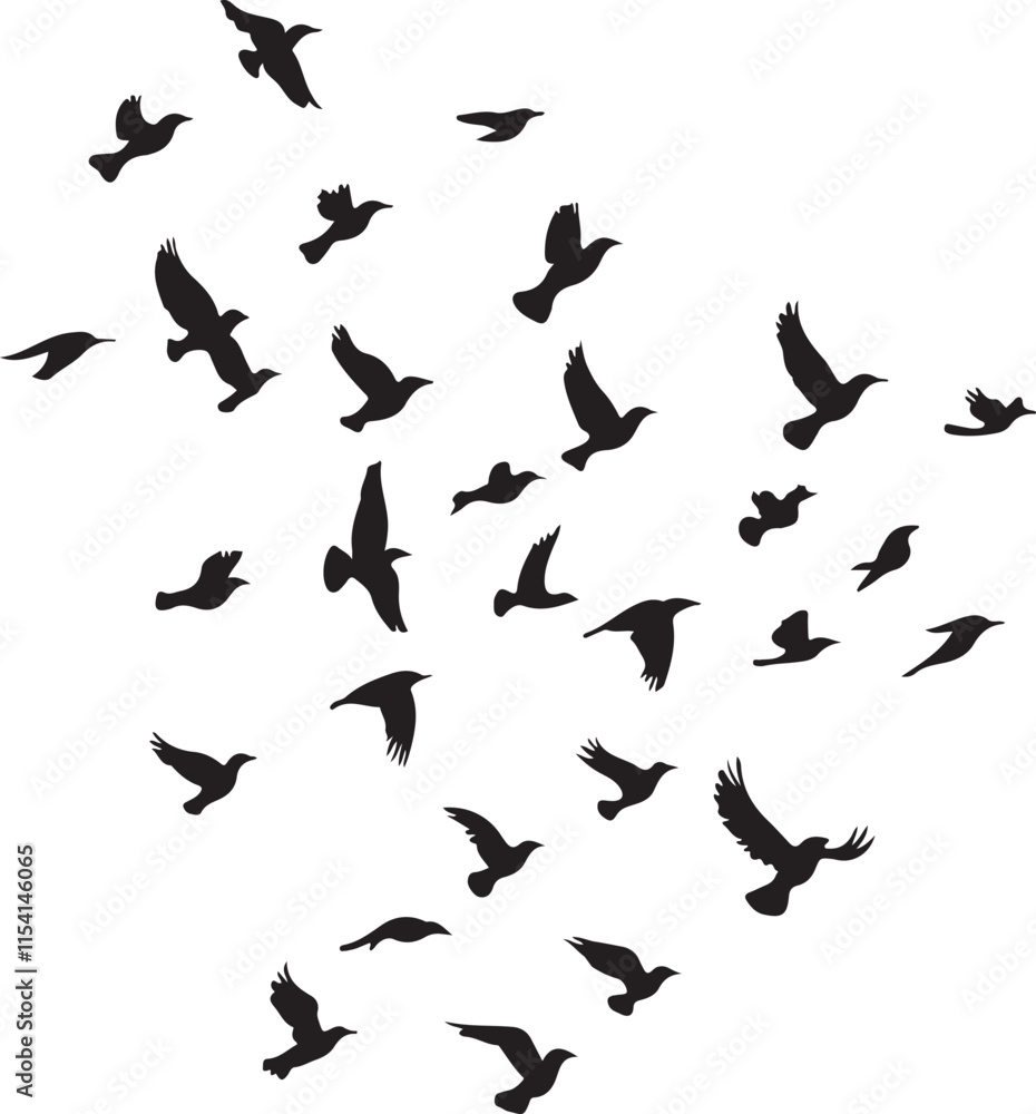 Birds Flying Silhouette Vector Illustration Graphic Birds Flying Silhouette Vector Illustration Graphic