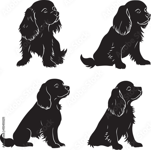 Cavalier King Charles Spaniel Dog Silhouette Set Vector Illustration Graphic