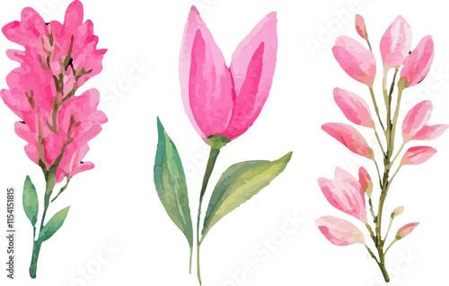 bouquet of pink tulips