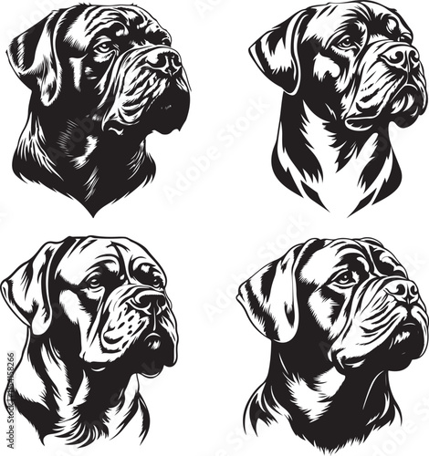 English Mastiff Dog Heads Stylized Vector Illustration Graphic