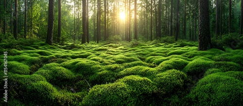 Vibrant moss-covered forest floor with soft ambient light filtering through trees.