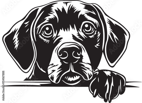 Labrador Dog Peeking Stylized Vector Illustration Graphic