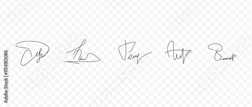 Fake signatures. Fake autograph. Personal signature calligraphy. Contrived signature. 