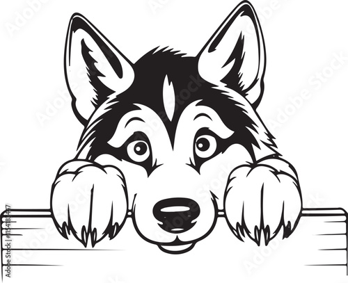 Siberian Huskie Dog Peeking Over Fence Stylized Vector Illustration Graphic