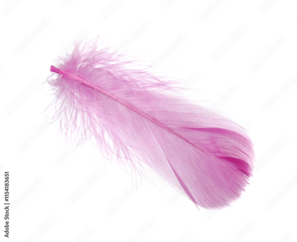 One fluffy pink feather isolated on white One fluffy pink feather isolated on white