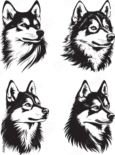 Siberian Husky Dog Stylized Set Vector Illustration Graphic