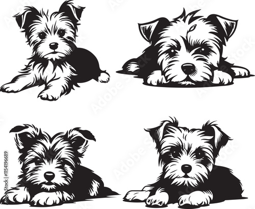 Yorkshire Terrier Dog Puppies Lying Down Stylized Set Vector Illustration Graphic