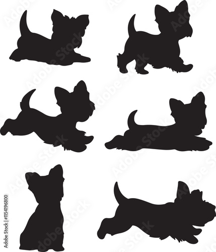 Yorkshire Terrier Dog Shapes Silhouette Set Vector Illustration Graphic