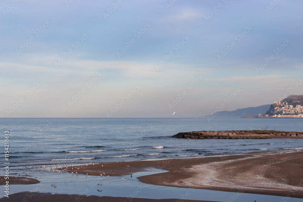 beach and sea beach and sea