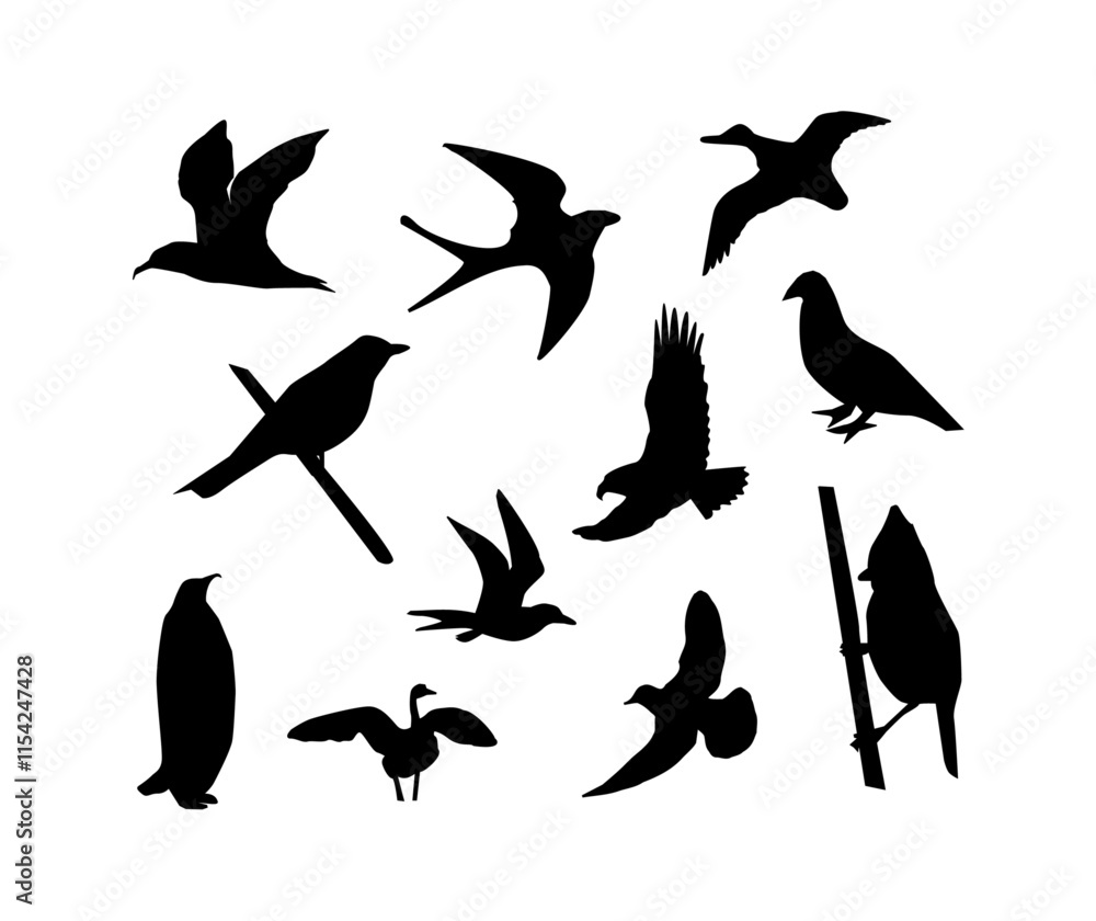 Fototapeta premium bird, silhouette, vector, animal, nature, illustration, flying, birds, fly, black, wildlife, sea, icon, wings, animals, wild, seagull, drawing, set, wing, silhouettes, pigeon, gull, art, fish