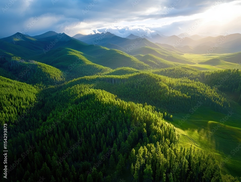 Fototapeta premium A stunning aerial view of lush, green hills and mountains illuminated by soft sunlight, showcasing the beauty of nature and diverse landscapes.