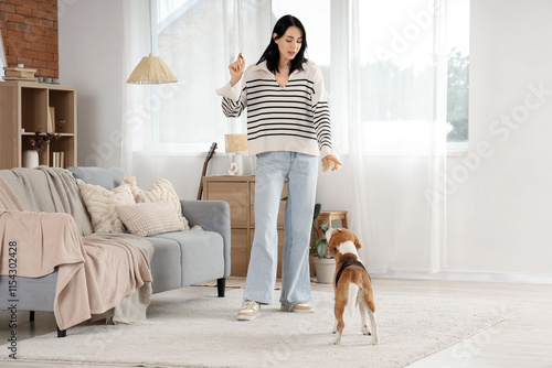 Pretty young woman with treat training her cute Beagle dog at home photo