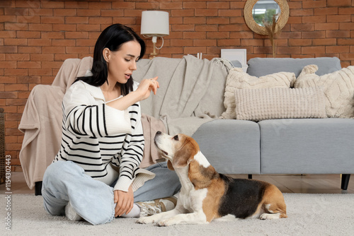 Young woman training beagle...