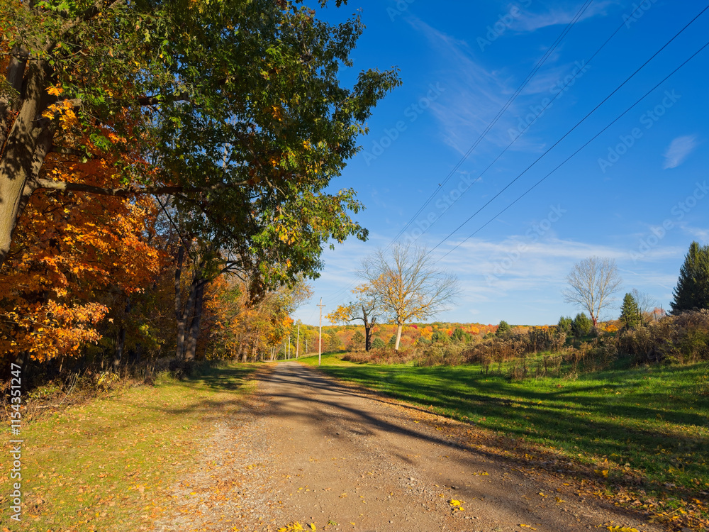 Naklejka premium A dirt road along a line of trees with autumn foliage on a distant hillside