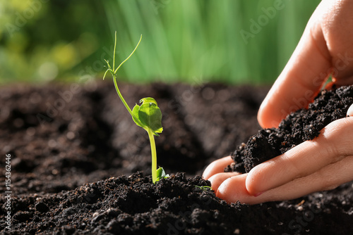Female hand with green seed...