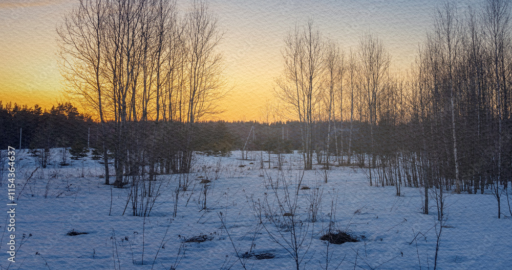 Snowy field with trees in the background Snowy field with trees in the background