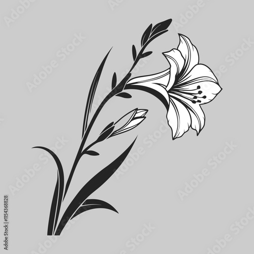 gladielus flower silhouette vector design art and illustration