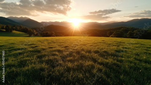 The sun rises majestically over vast stretching meadows of grass, its golden rays casting a warm glow across the open fields, under a tranquil sky with distant mountains. photo