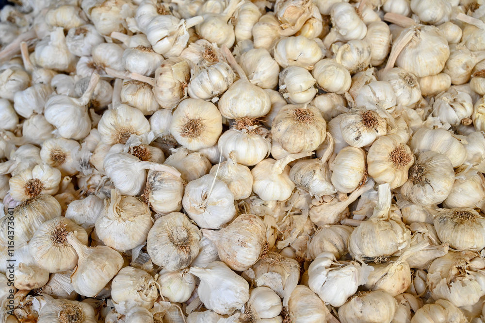Garlic for sale at the market. Heads of garlic, close-up. Garlic for sale at the market. Heads of garlic, close-up.