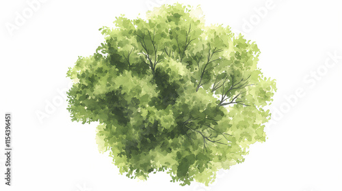 Obraz na płótnie Vector tree top watercolor hand drawn view isolated on white background for landscape plan and architecture layout drawing, elements for environment and garden. Pinnacle. Illustration w salonie