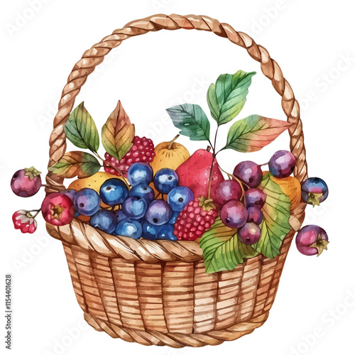 A watercolor vector of a basket of freshly picked wild berries and autumn fruit, isolated on a white background. Berry basket vector.
