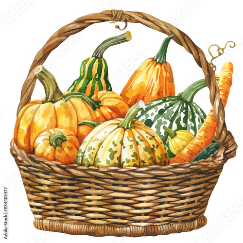 A watercolor vector of a basket of harvested pumpkins and gourds, isolated on a white background. Pumpkin and gourd basket vector.
